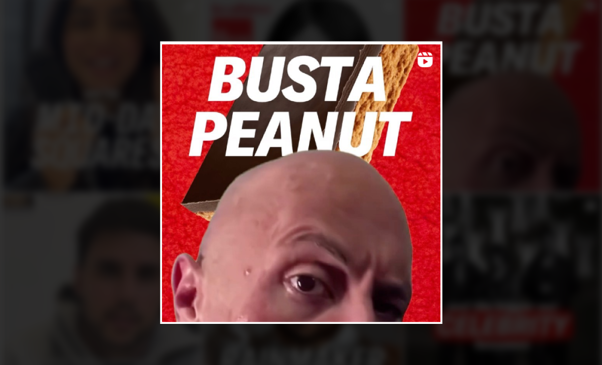 busta-peanut-mid-day-squares